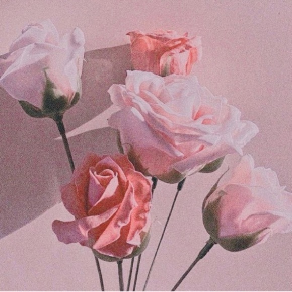 shop_champagne